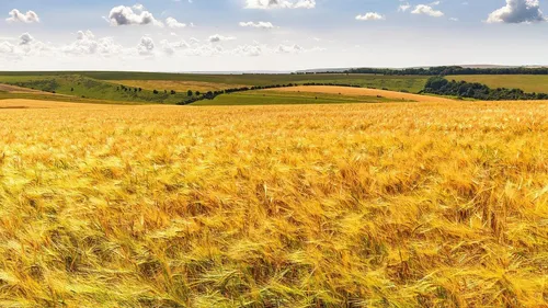 Cedar Creek - Pre-construction project in Southampton, Ontario